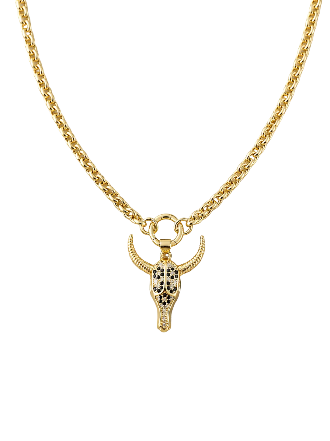 High Country Carabiner Necklace