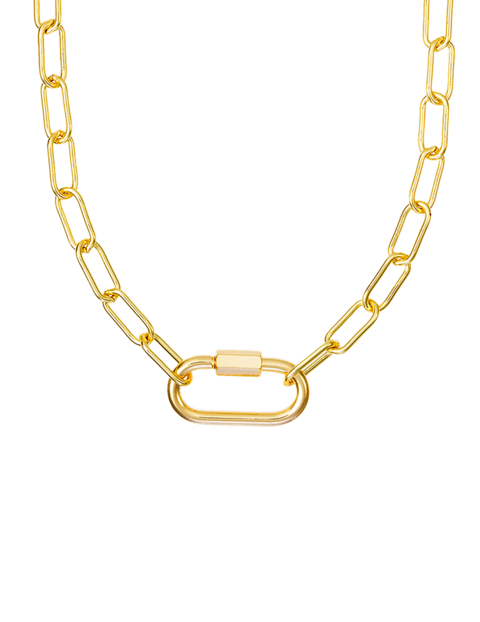 Custom Carabiner Necklace