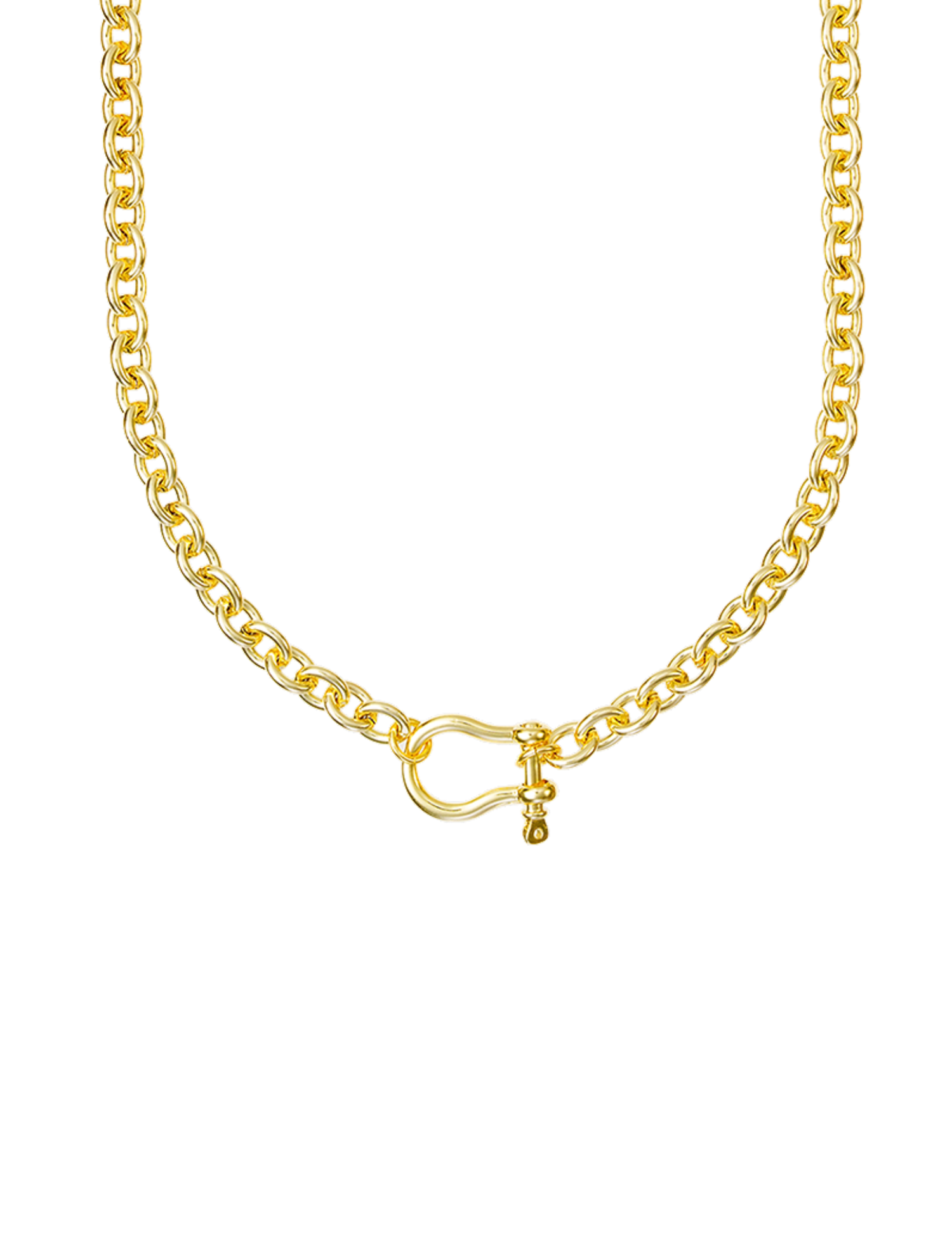 Screw Carabiner Necklace