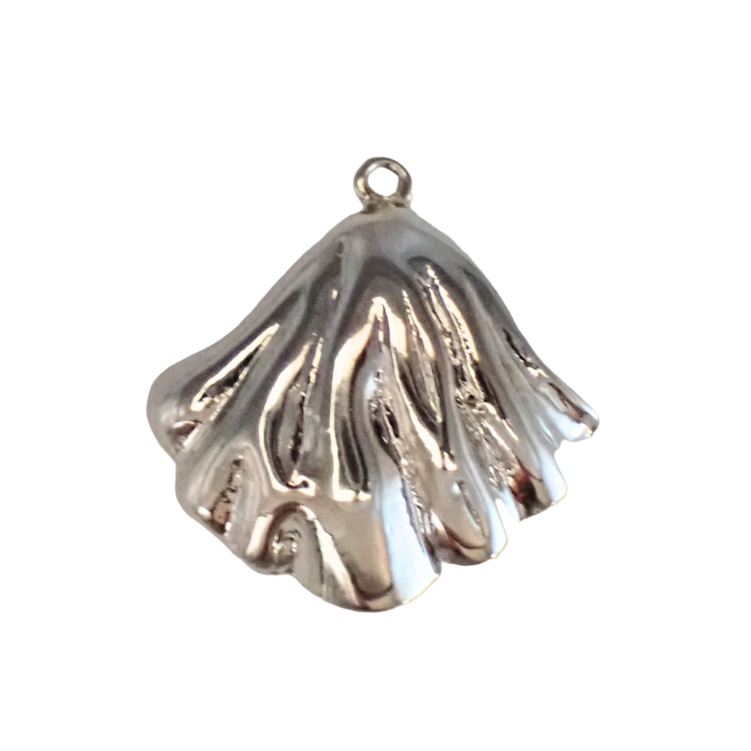 Silver Large Shell