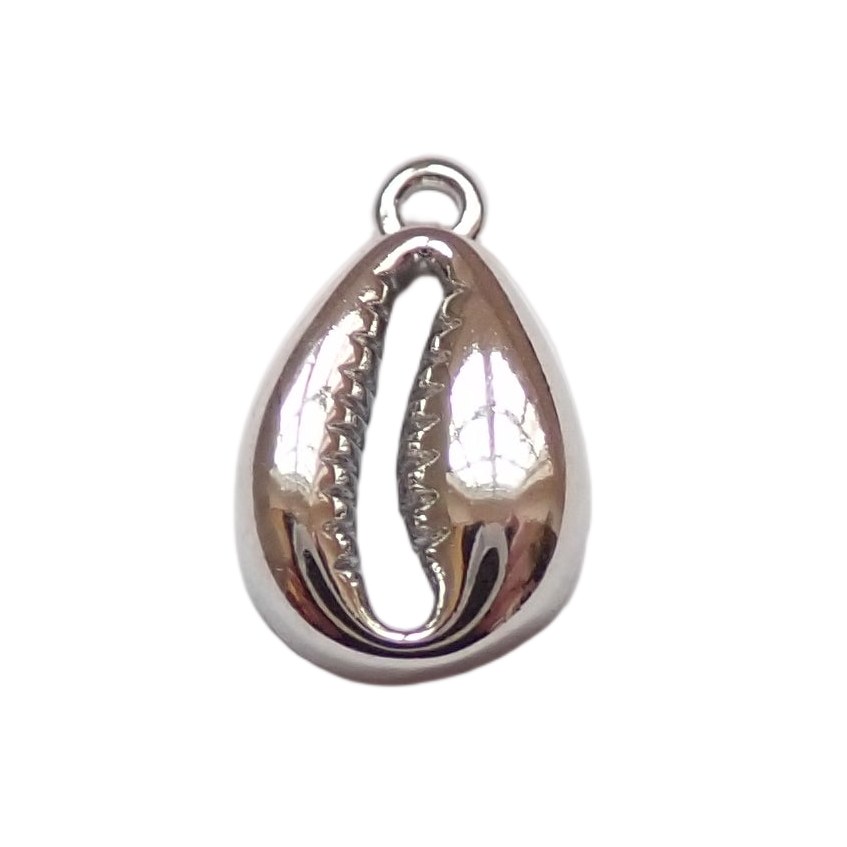 Cowrie Shell